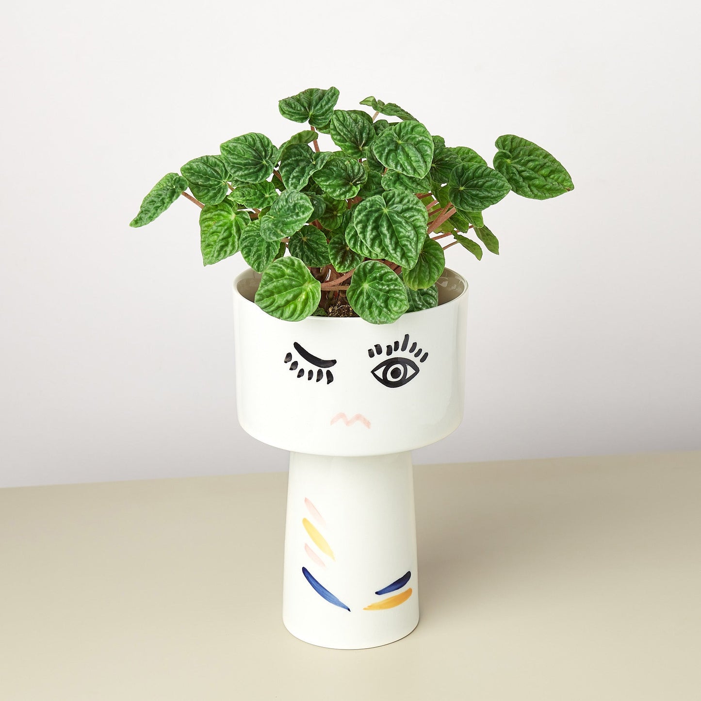 Expressions Planters