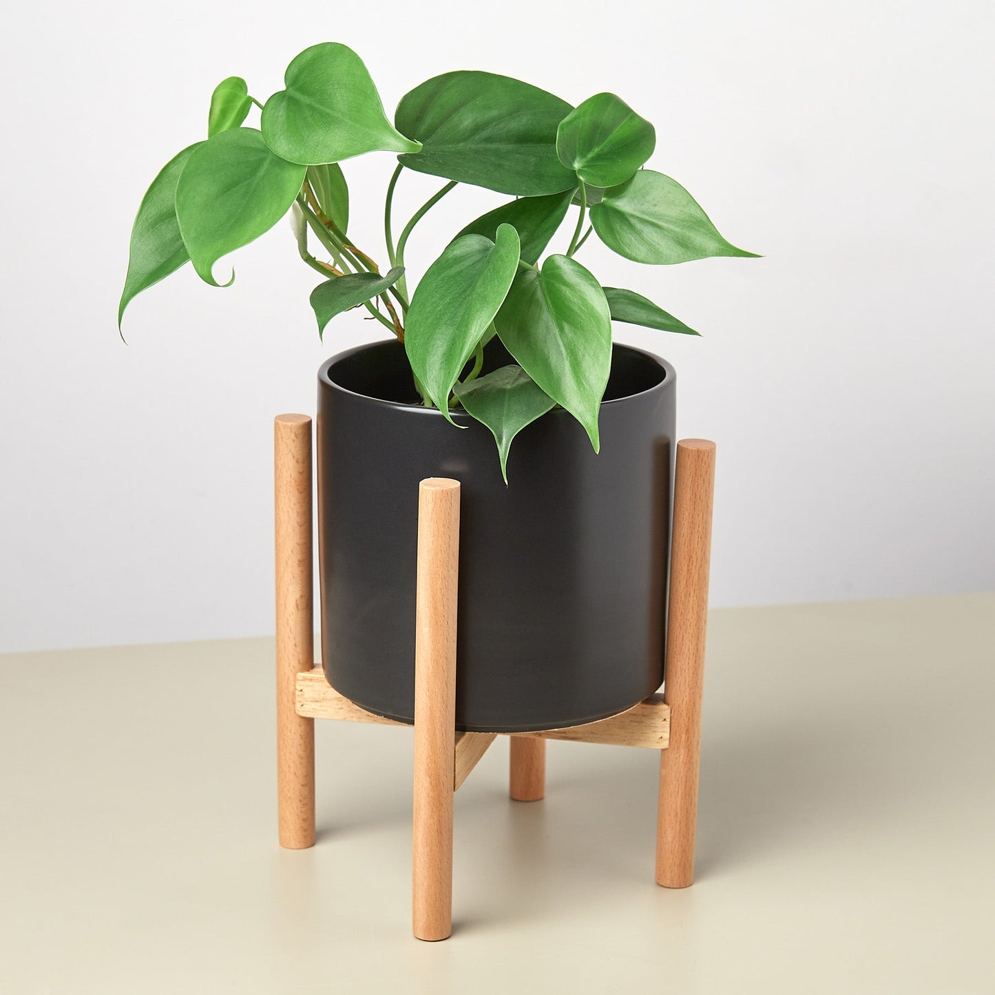 Cylinder Planter with Wood Stand - 5" Pot